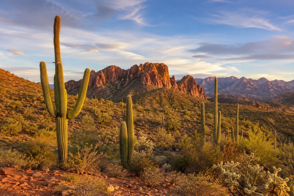 Centro de Phoenix visto desde South Mountain